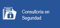 Consultoría en Seguridad