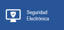 Seguridad Electrónica